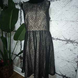 Jessica Howard Black and Cream Polka Dot Midi Dress